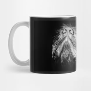 Italian Spinone Nose Mug